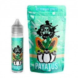 Payatus Aroma 20 ml - Galactika